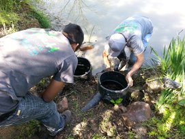 Pond Maintenance Services in Austin and Central Texas