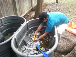 Pond Cleaning and Maintenance in Austin and Central TexasPicture