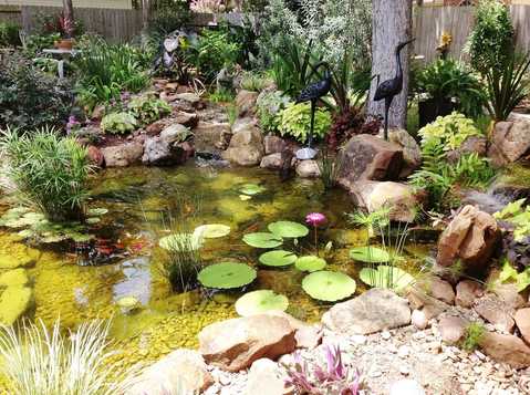 Beautiful Backyard Paradise Features a 15x15 Pond and Constructed Wetlands Filter