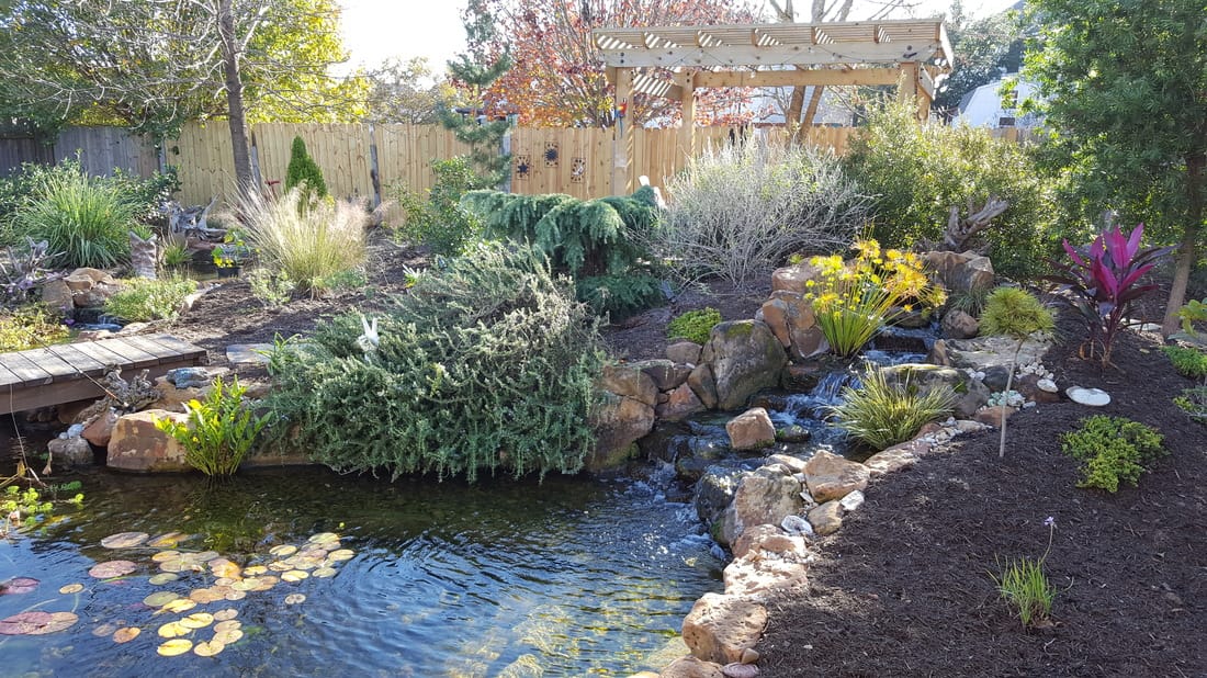 Backyard Ecosystem Fish and Koi Ponds in Austin and Central Texas