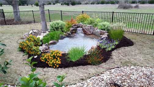 Entry-level 8x10 backyard fish pond in Austin, Central Texas
