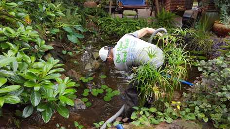 Pond Cleaning and Maintenance, Austin TX