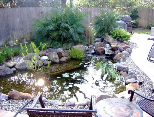 Backyard Ecosystem Fish and Koi Pond for your Austin Texas Landscape