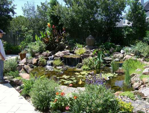 This Koi and Fish Pond Could be the Centerpiece of Your Yard in the Austin or Central Texas area